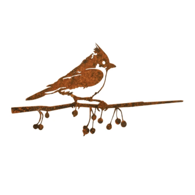 Herrerillo capuchino - METALBIRD