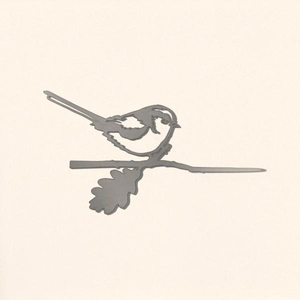 Cincia dalla coda lunga - METALBIRD